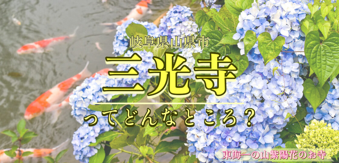 あじさいの山寺 三光寺 の見頃とアクセスは 東海一の紫陽花スポット 岐阜県山県市の観光地 旅狼どっとこむ あじさいの山寺 三光寺 の見頃とアクセスは 東海一の紫陽花スポット 岐阜県山県市の観光地 旅狼どっとこむ