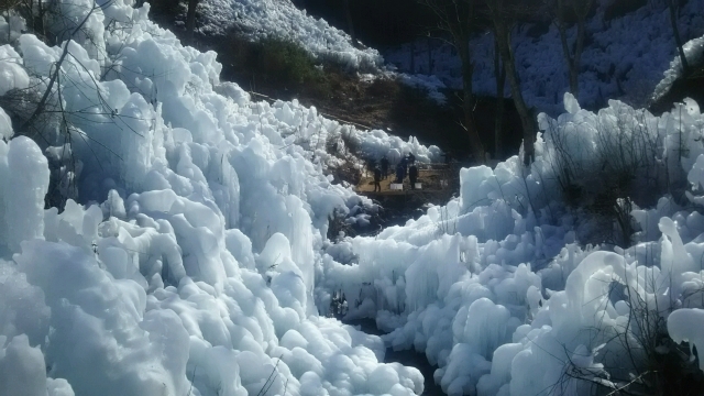 冬の秩父の絶景観光名所_あしがくぼの氷柱の開催時期・時間・アクセス・駐車場