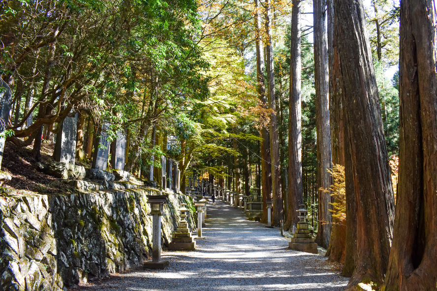 人を選ぶ？秩父のパワースポット_三峯神社の歴史-月観道満・菖蒲菱