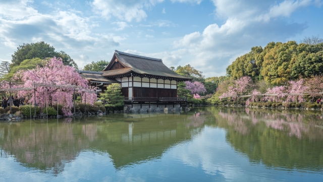 蘇った平安京と花々の名所-平安神宮と神苑の見どころ_春の桜のイベント