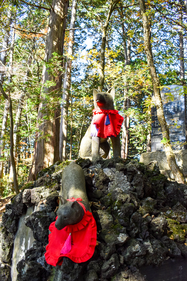 人を選ぶ？秩父のパワースポット三峯神社_狼信仰-山犬と大神