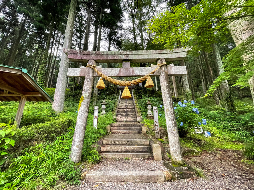 【岐阜観光】モネの池の見頃とアクセス-根道神社