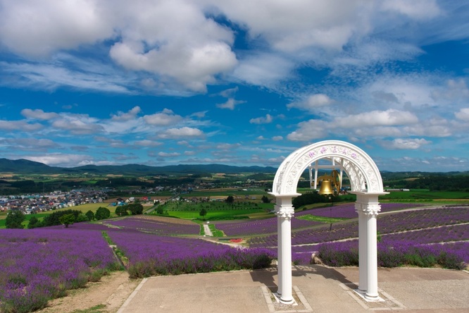 FGO-under the same skyの聖地巡礼-北海道編_富良野の日の出ラベンダー園