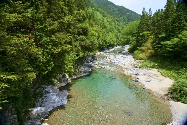 【岐阜観光】モネの池の見頃とアクセス-板取川もオススメ