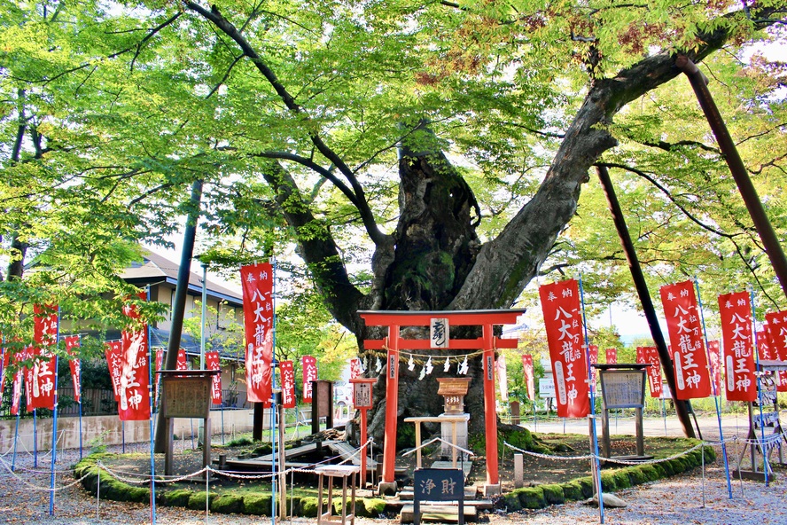 東京から日帰り旅行も可能！秩父でオススメのパワースポット-恋愛・仕事運・金運アップ_秩父今宮神社