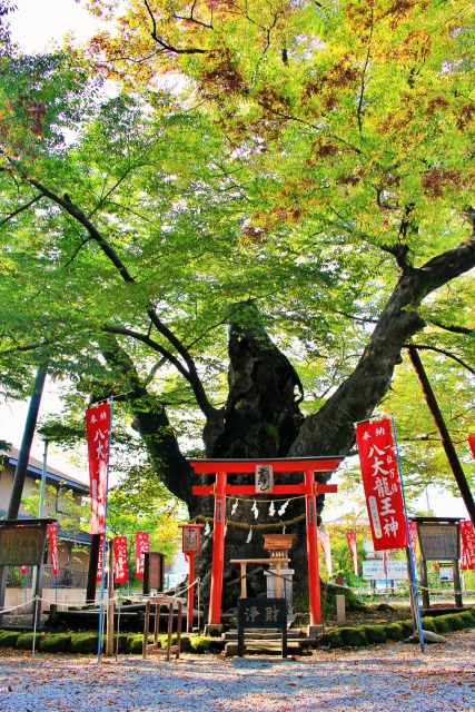 秩父でオススメのパワースポット-恋愛・仕事運・金運アップ_秩父今宮神社の拝観時間・拝観料・アクセス