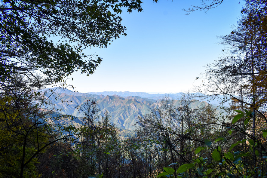 人を選ぶ？秩父のパワースポット_三峯神社の見どころ-奥宮参道の絶景