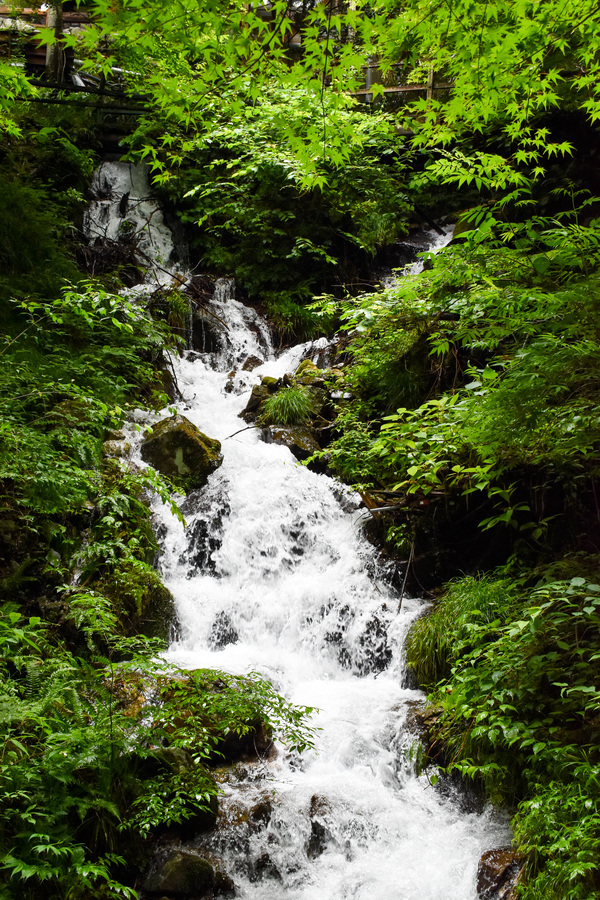 岐阜観光-付知峡_不動公園の見どころ-小さな滝のせせらぎ