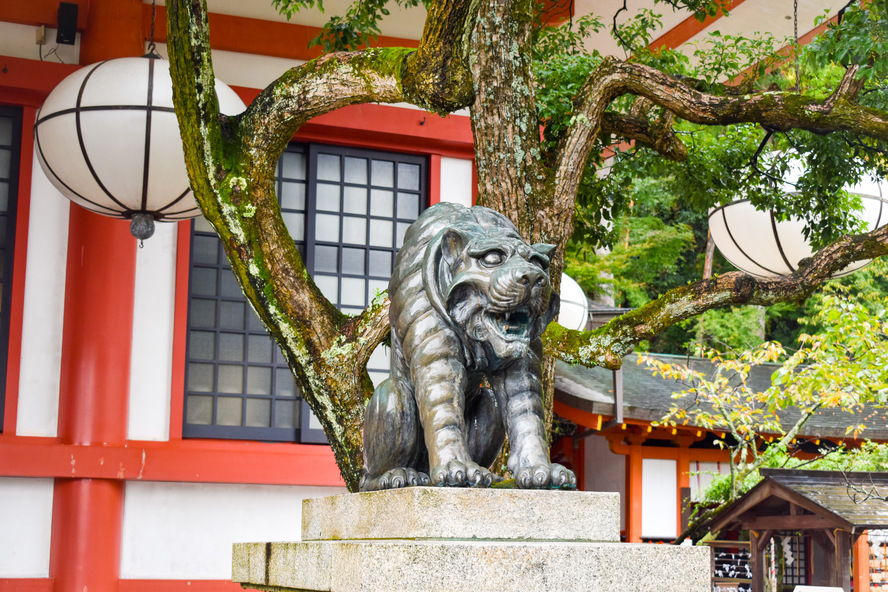 鞍馬寺の見どころとパワースポット_金堂（本殿）と金剛床-阿吽の狛虎