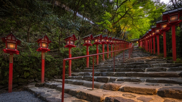 貴船神社の見どころと歴史-丑の刻参りと呪い_本宮ライトアップ