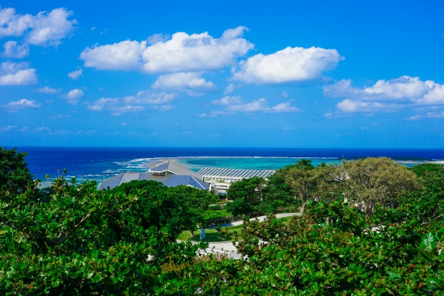 ココだけは行っとけ！ 沖縄でおすすめの観光スポット&アクティビティ_美ら海水族館-開館時間・料金・アクセス