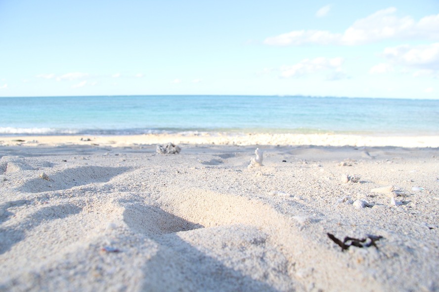 ココだけは行っとけ！ 沖縄でおすすめの観光スポット&アクティビティ_海と砂浜