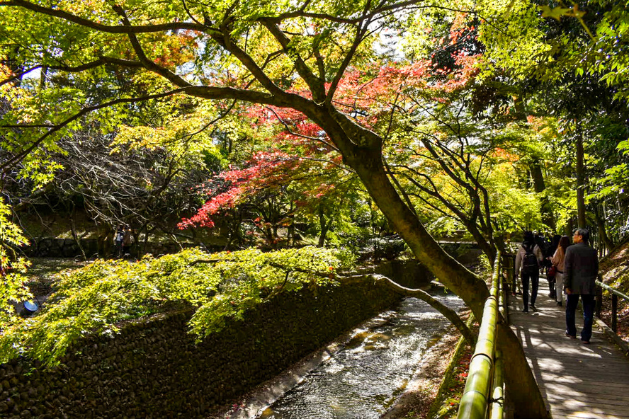 秋の京都を紅葉観光-北野天満宮のもみじ苑を一人旅レポート_御土居と豊臣秀吉