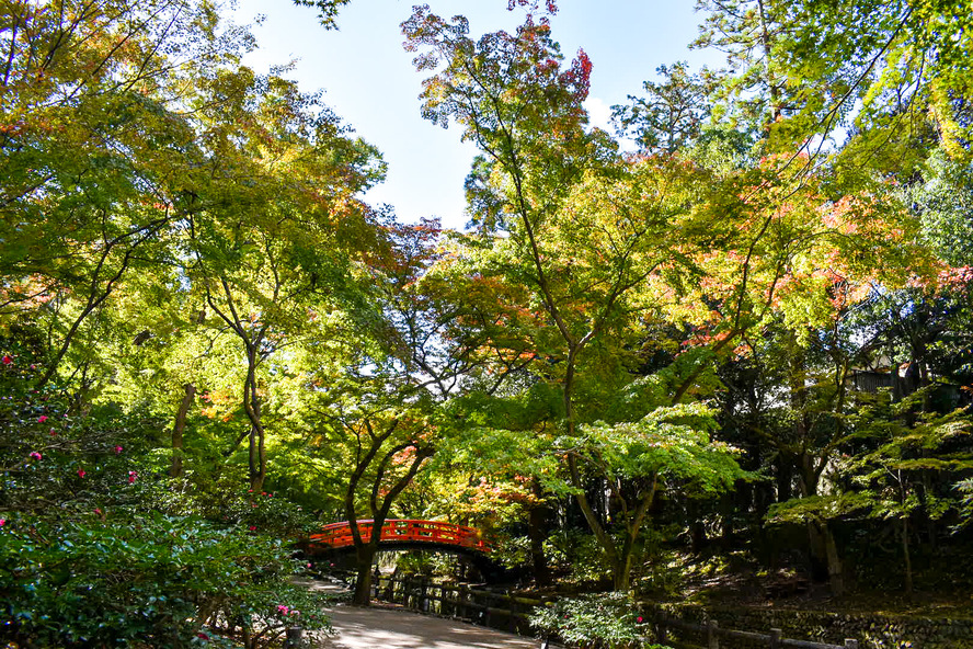 秋の京都を紅葉観光-北野天満宮のもみじ苑を一人旅レポート_モデルコースにどうぞ