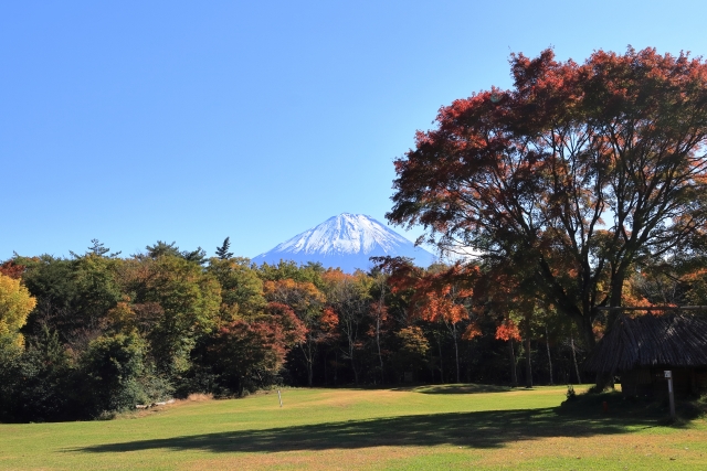 富士五湖観光-見どころ・魅力・楽しみ方_西湖野鳥の森公園