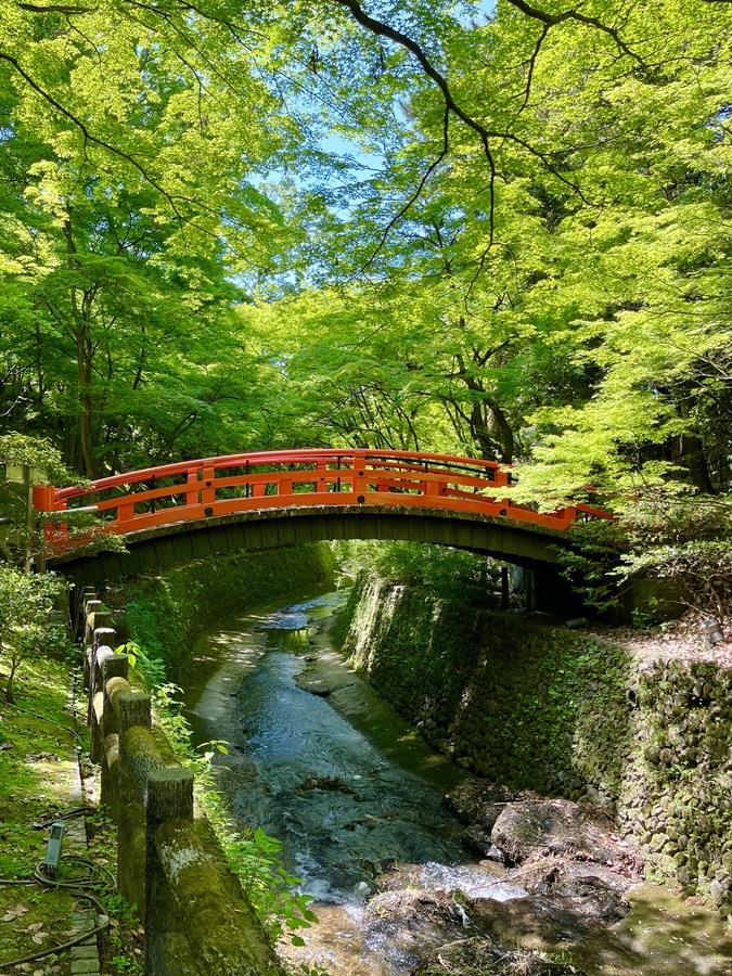 京都観光-北野天満宮の見どころ_御土居のもみじ苑-春と初夏の青もみじ