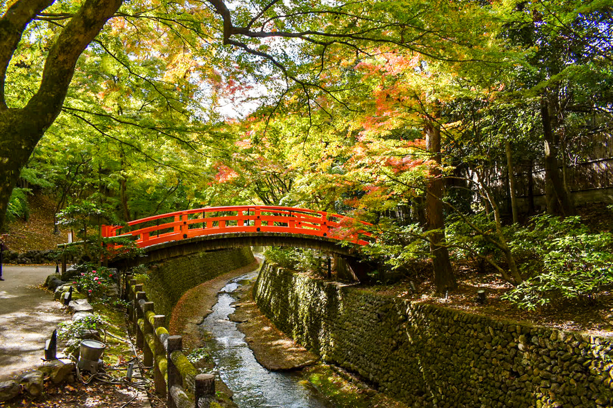 北野天満宮の見どころと歴史_御土居のもみじ苑-秋の紅葉の名所