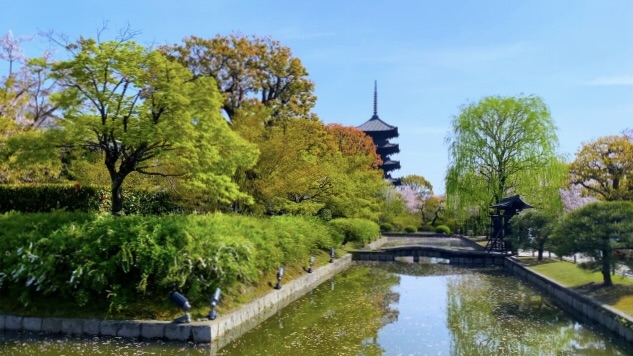 京都観光-東寺(教王護国寺)の見どころと歴史_宣陽門院(覲子内親王)と鎌倉時代の繁栄