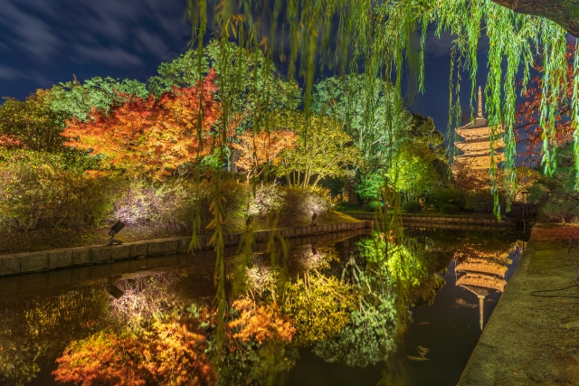 京都観光-東寺(教王護国寺)の見どころと歴史_宣陽門院(覲子内親王)-生身供と御影供