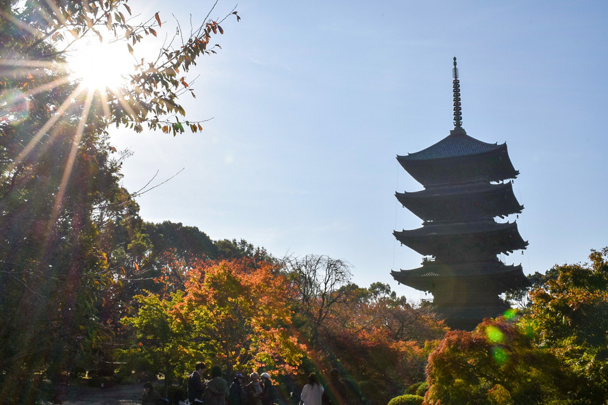 京都観光-東寺(教王護国寺)の見どころと歴史_再興から現代-朝日と紅葉と五重塔