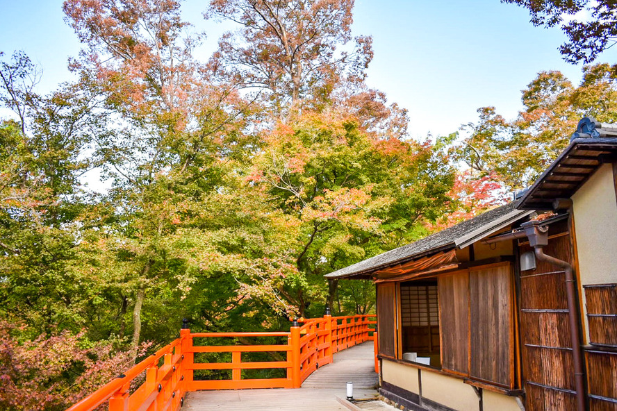 京都観光-北野天満宮の見どころ・歴史・観光地情報_アクセス・駐車場・行き方・場所