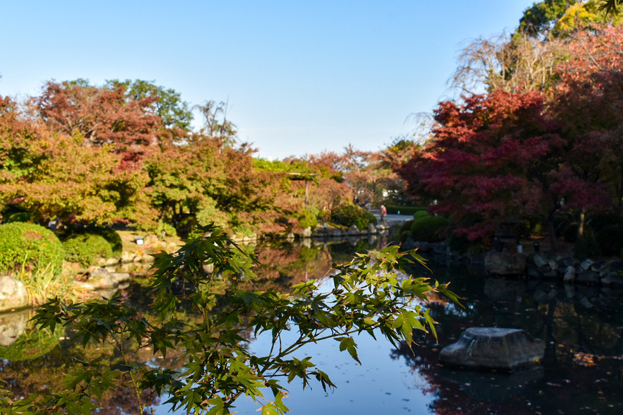 京都観光-東寺(教王護国寺)の見どころと歴史_生身供と御影供_紅葉に染まる境内