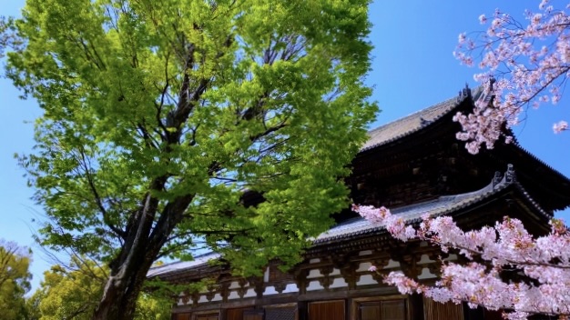 京都観光-東寺(教王護国寺)の見どころ・ライトアップ_アクセス・行き方・場所