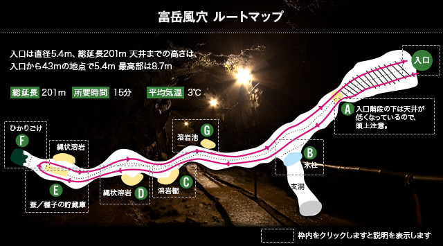 富士五湖観光-西湖の見どころ・魅力・楽しみ方_富岳風穴