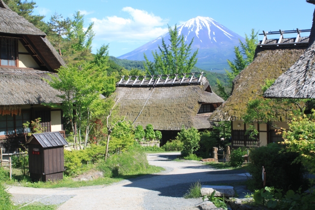 富士五湖観光-見どころ・魅力・楽しみ方_西湖いやしの里根場と富士山