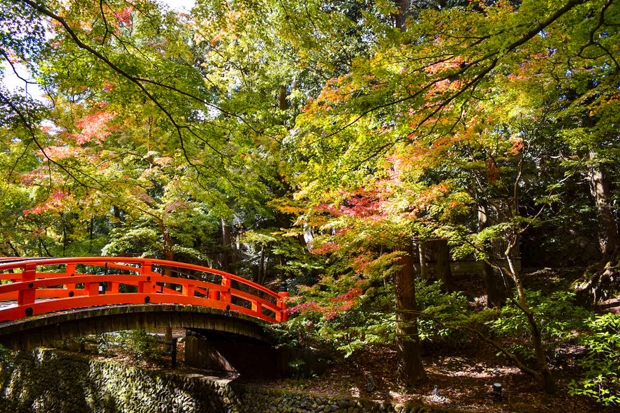 北野天満宮の見どころ・歴史・観光地情報_秋の京都の紅葉観光-見頃