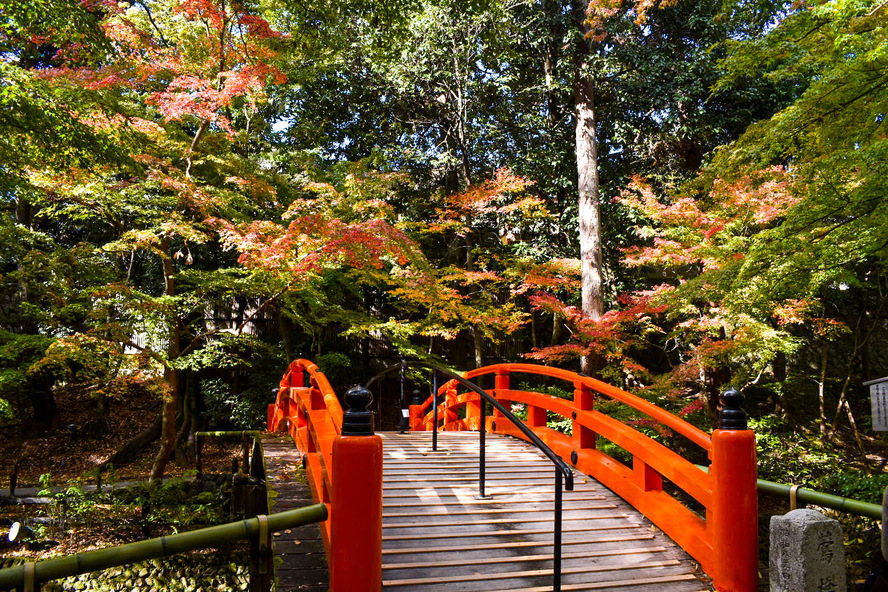 秋の京都-北野天満宮_観光情報-紅葉の時期と見頃・所要時間・アクセス・場所・行き方-史跡 御土居のもみじ苑