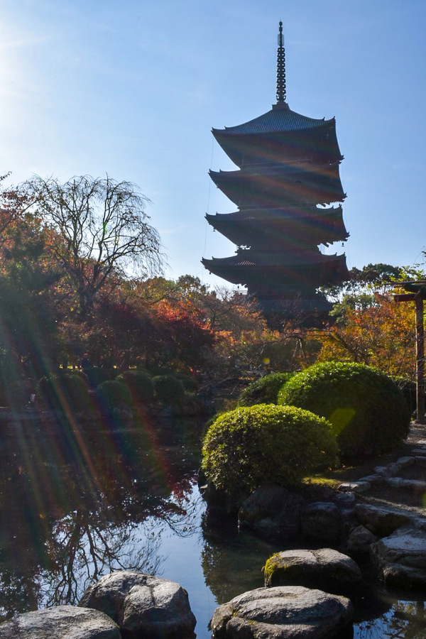 京都観光-東寺(教王護国寺)の拝観料・オススメ時間・所要時間・季節の特別拝観・ライトアップ_アクセス・行き方