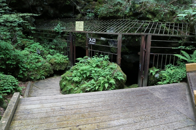 富士五湖観光-見どころ・魅力・楽しみ方_西湖コウモリ穴-洞窟