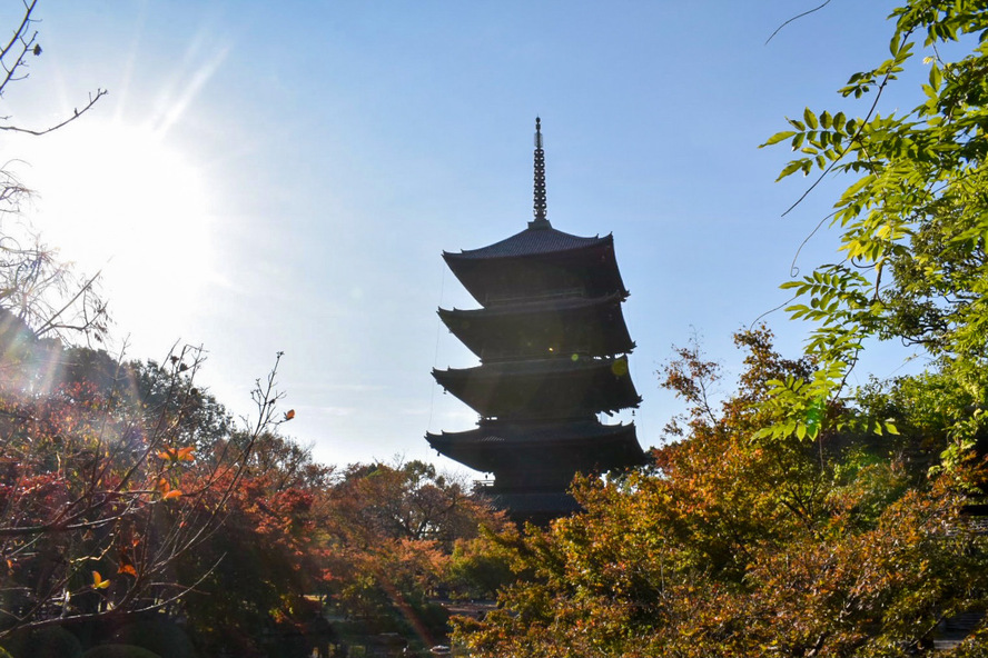京都観光-東寺(教王護国寺)の見どころ・季節のイベント_紅葉の見頃・所要時間・おすすめの時間