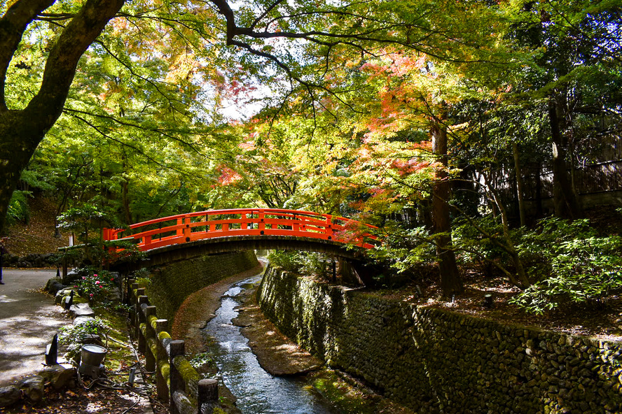 秋の京都を紅葉観光-北野天満宮のもみじ苑を一人旅レポート_史跡 御土居の歴史