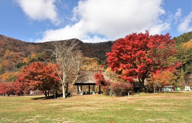 富士五湖観光-見どころ・魅力・楽しみ方_西湖野鳥の森公園-営業時間・アクセス・紅葉・樹氷まつり