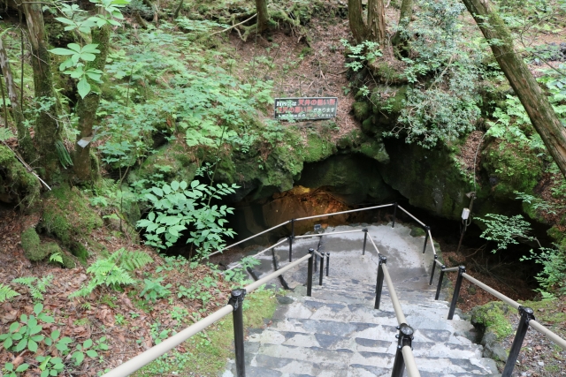 富士五湖観光-西湖の見どころ・魅力・楽しみ方_富岳風穴-洞窟探検