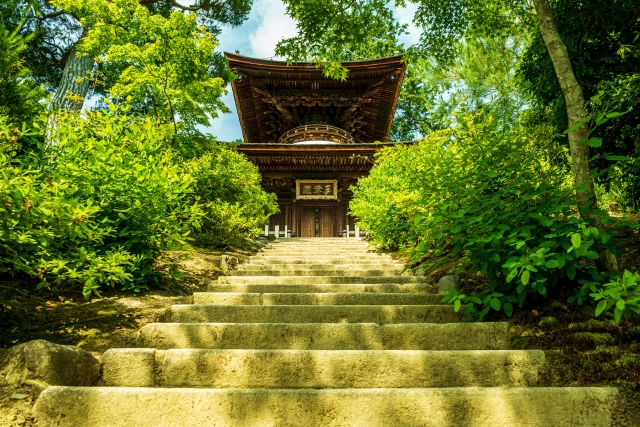 秋の京都嵐山-常寂光寺_見どころ-多宝塔と青もみじ