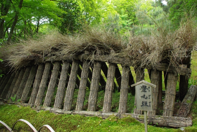 京都・嵐山の観光スポット-春と秋のみ特別拝観できる紅葉の名所「宝厳院」_見どころ-獅子吼の庭-豊丸垣