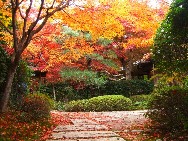 厭離庵-京都嵐山の隠れ家的紅葉スポットにして時雨亭跡地の観光名所_見どころ-紅葉と書院