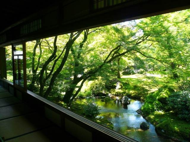 京都・嵐山の観光スポット-春と秋のみ特別拝観できる紅葉の名所「宝厳院」_歴史-建立-茶室と青もみじ