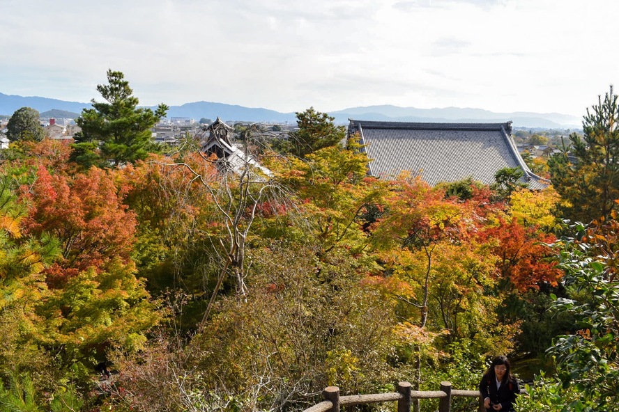 京都・嵐山のオススメ観光名所・世界遺産_天龍寺の歴史-夢窓疎石と後醍醐天皇_秋の百花苑