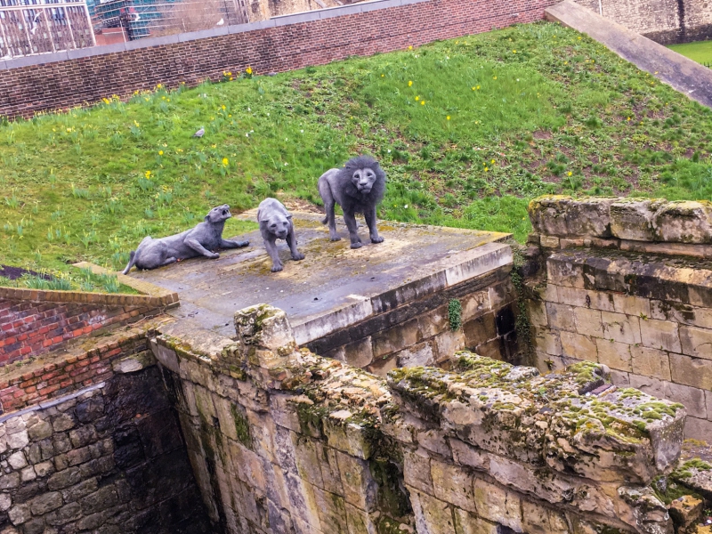 イギリス観光-幽霊が出る悲劇の世界遺産_ロンドン塔の見どころ-動物園跡