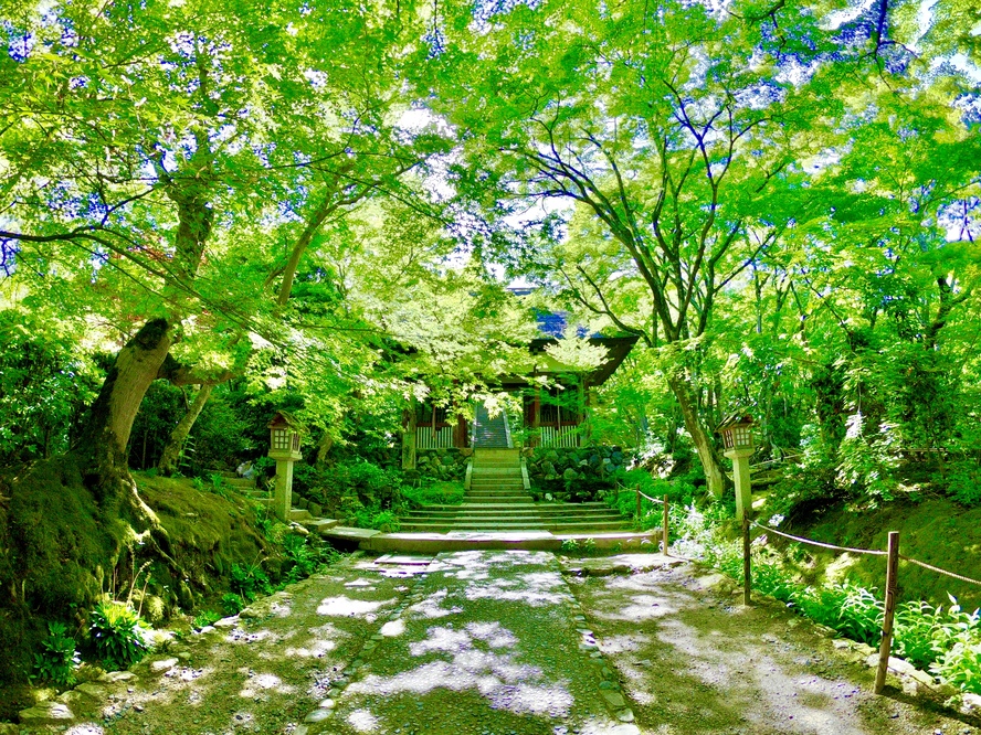 秋の京都嵐山-常寂光寺_見どころ-仁王門と青もみじ