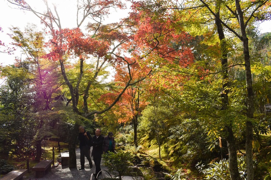 京都・嵐山のオススメ観光名所・世界遺産_天龍寺の見どころ-百花苑の紅葉