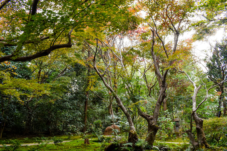 厭離庵-京都嵐山の隠れ家的紅葉スポットにして時雨亭跡地の観光名所_歴史-名前の由来・読み方