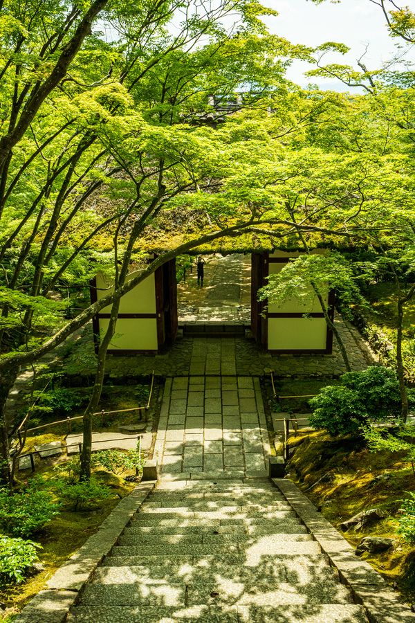 秋の京都嵐山-常寂光寺_観光地情報-アクセス_青もみじと仁王門