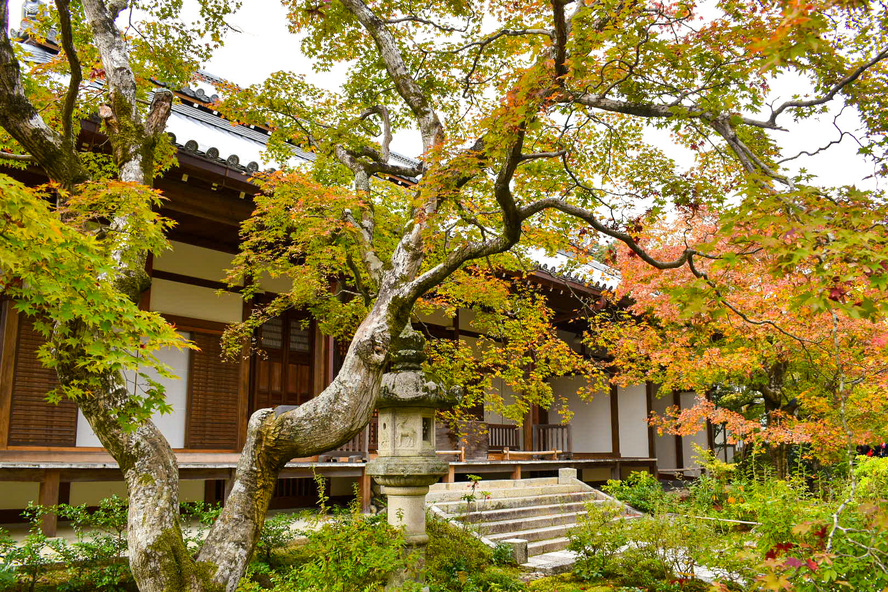 秋の京都嵐山-常寂光寺_見どころ-本堂と紅葉