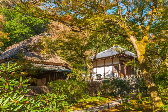 京都・嵐山の観光スポット-春と秋のみ特別拝観の紅葉の名所-宝厳院の見どころ_本堂と茶室