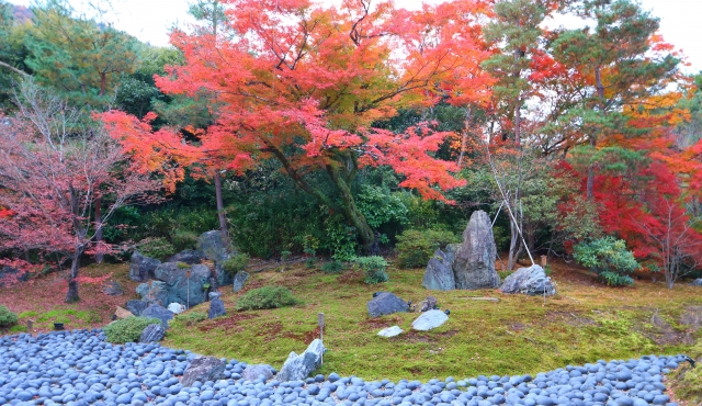 京都・嵐山の観光スポット-春と秋のみ特別拝観できる紅葉の名所「宝厳院」_見どころ-獅子吼の庭-三尊石・苦海・獣石・瀧門瀑